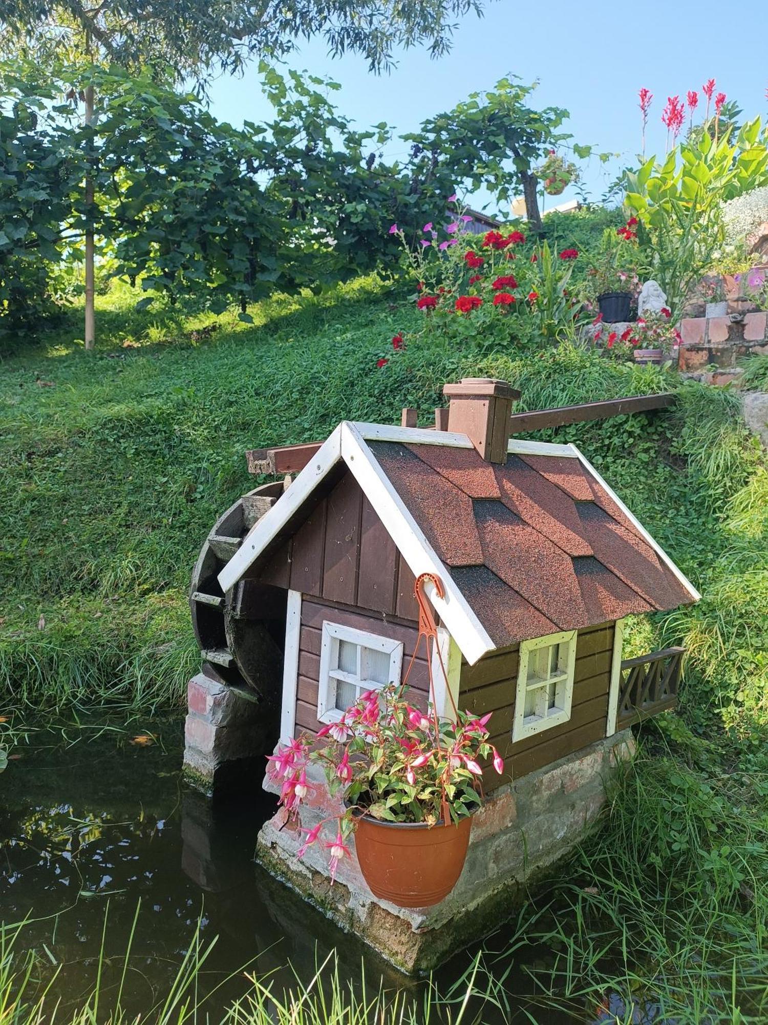 Viesu Maja